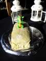 IMG_20141115_103451[1]